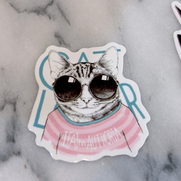 Water Bottle Stickers Kitty Cat PET Animal‎ Tumbler, Laptop, Phone Stickers Set - Picture 4 of 8